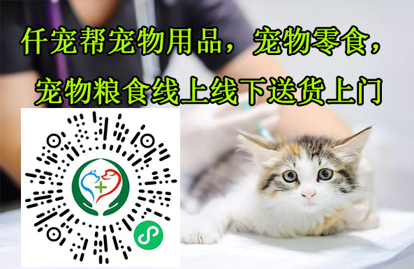 邢臺寵物醫(yī)院