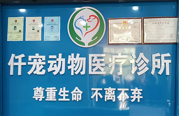 邢臺寵物醫(yī)院